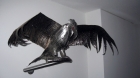 adler211