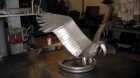 adler24